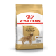 Royal Canin Golden Retriever Adult – Hrană Uscată pentru Câini Adulți din Rasa Golden Retriever – 12 kg